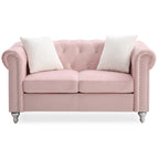 Raisa 60 in. Velvet 2-Seater Sofa With 2-Throw Pillow - 60L x 34W x 30H