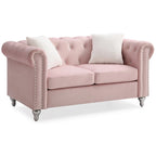 Raisa 60 in. Velvet 2-Seater Sofa With 2-Throw Pillow - 60L x 34W x 30H