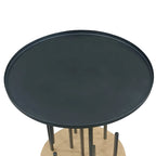 Neci 20 Inch Side End Table, Round Matte Black Tray Top, Modern Rod Supports with Brass Base